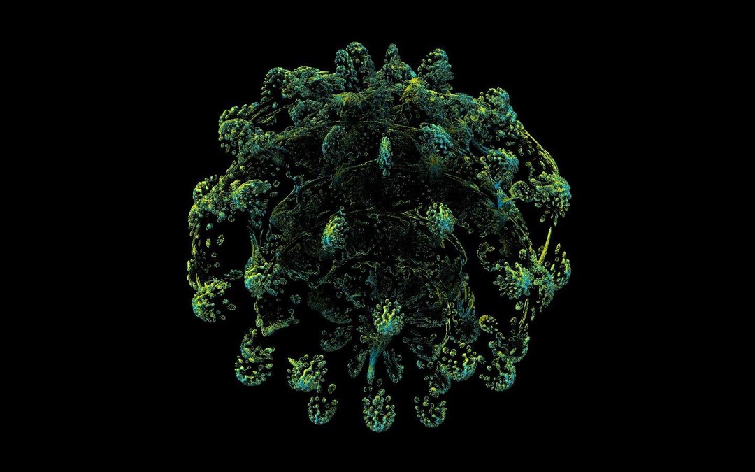 <i>Hypercomplex Mandelbulb fractals II</i>, Softology's Visions of Chaos