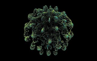<i>Hypercomplex Mandelbulb fractals II</i>, Softology's Visions of Chaos